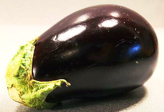 eggplant recipes