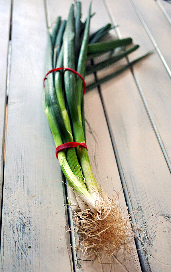 spring onions