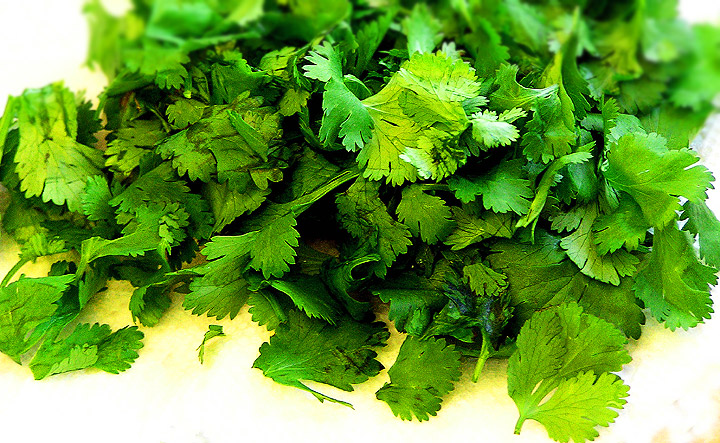 coriander or cilantro