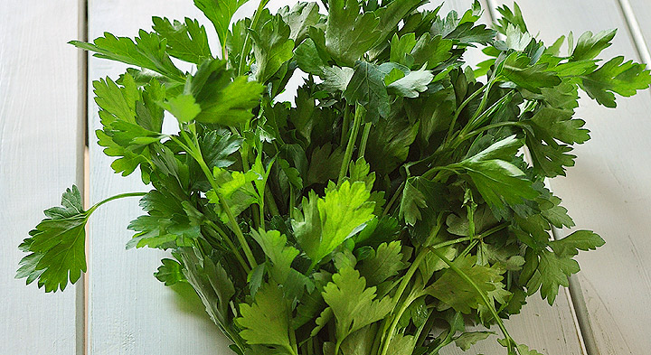 picture of flat leaf parsley